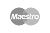 Logo Maestro - Surfahierro Surfshop